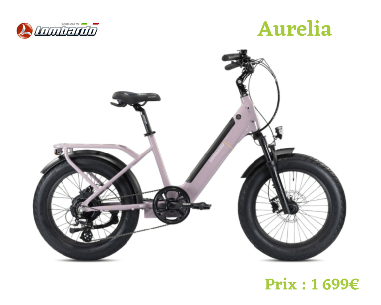 Lire la suite à propos de l’article <span class="tax-dispo">Sur commande</span> Aurelia 2026