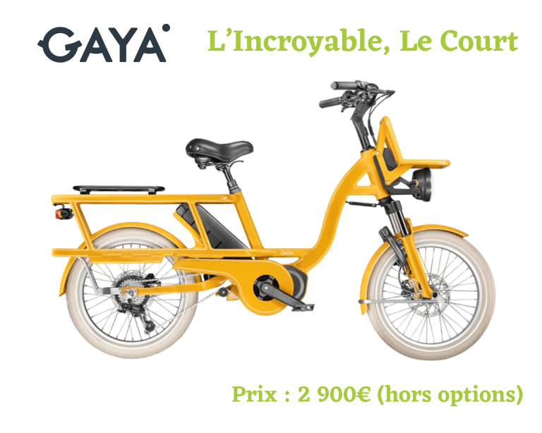 Lire la suite à propos de l’article <span class="tax-dispo">Sur commande</span> L&rsquo;Incroyable, Le Court – GAYA